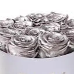 Silver Roses Box 1
